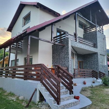 Pensiunea Ricky Capatineni-Ungureni Exterior foto