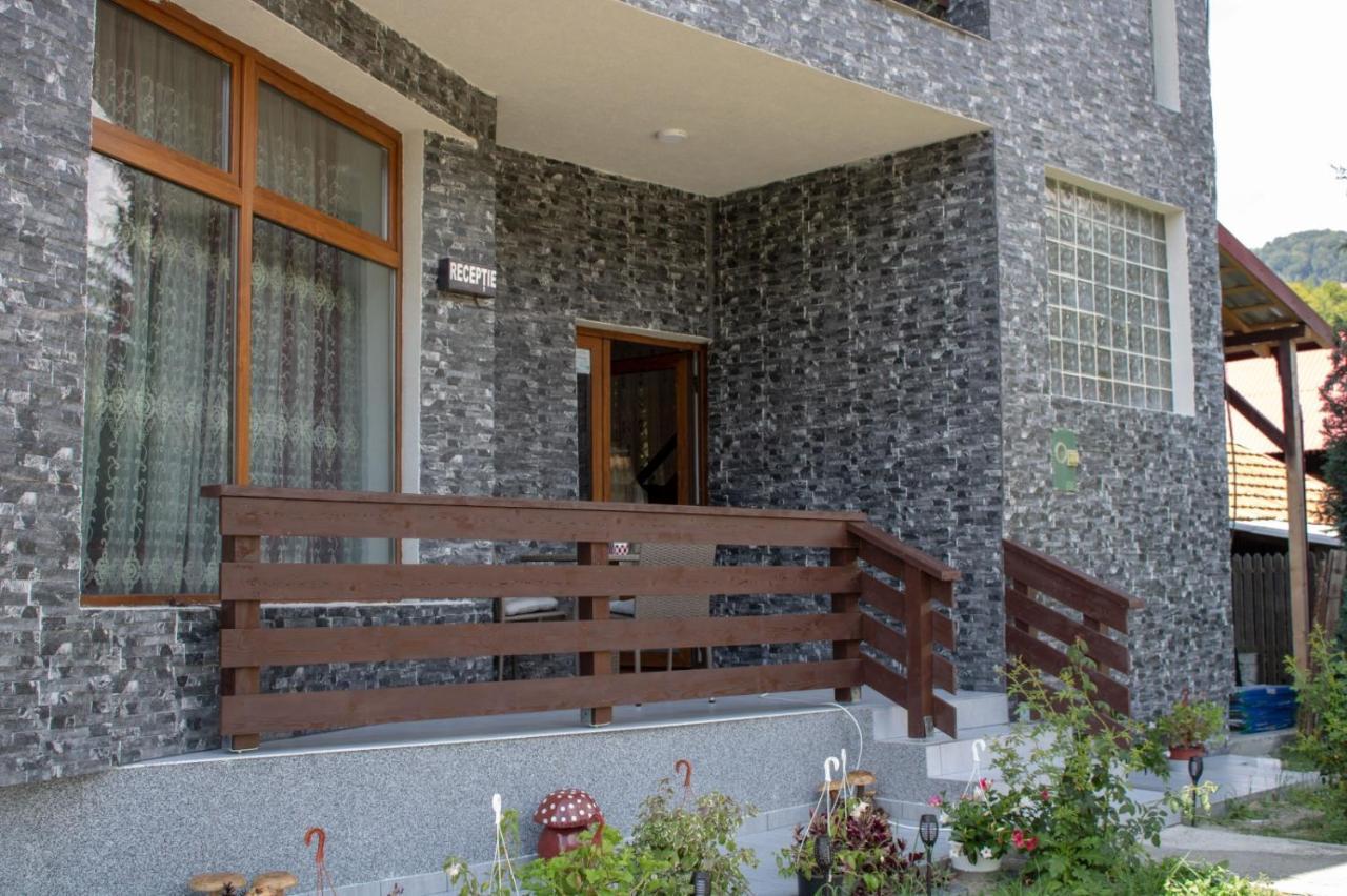 Pensiunea Ricky Capatineni-Ungureni Exterior foto