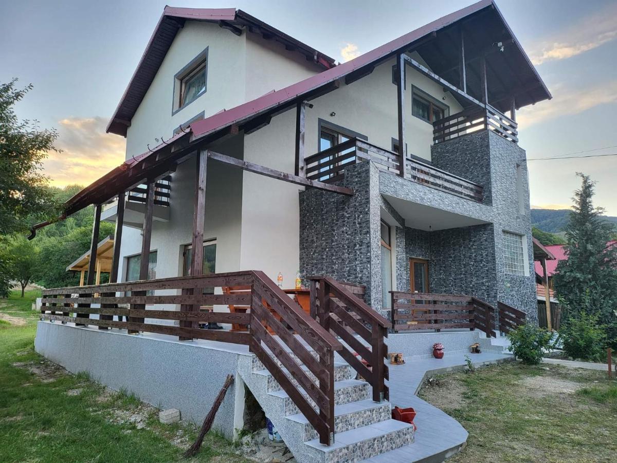 Pensiunea Ricky Capatineni-Ungureni Exterior foto